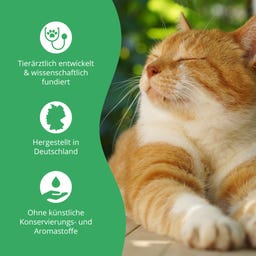 purapep Comfort - 100 g