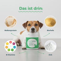 purapep Comfort - 280 g