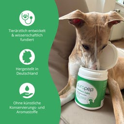 purapep Comfort Hundetabs - 120 Kautabletten