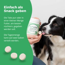 purapep Comfort Hundetabs - 120 Kautabletten