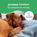 purapep Comfort Hundetabs - 120 Kautabletten