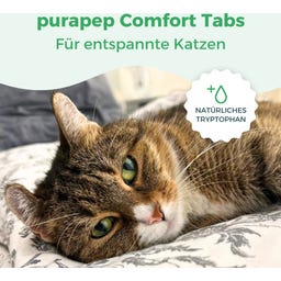 purapep Comfort Katzentabs - 120 Kautabletten