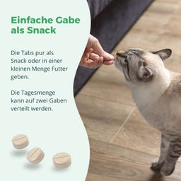 purapep Comfort Katzentabs - 120 Kautabletten