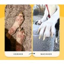 purapep Care Manuka - Balsem - 50 ml