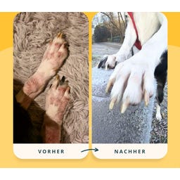 purapep Care Manuka - Balsem - 50 ml