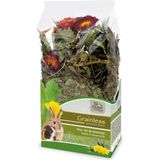 JR Farm Grainless Plus - Salvia e Tarassaco