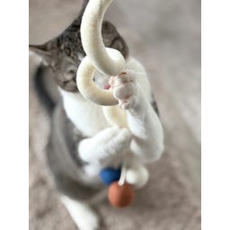 Aumüller Katzenspielzeug Loopy - 1 Stk