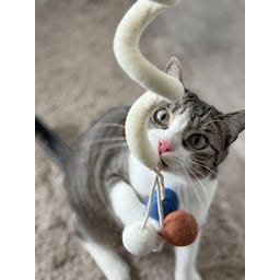 Aumüller Katzenspielzeug Loopy - 1 Stk