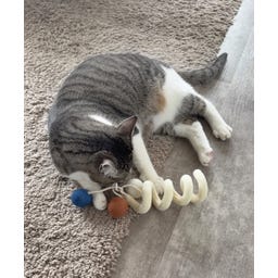 Aumüller Katzenspielzeug Loopy - 1 Stk