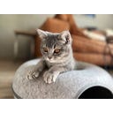 Aumüller Donut Katzentunnel/Katzenhöhle klein - hellgrau