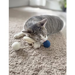 Aumüller Katzenspielzeug Loopy - 1 Stk