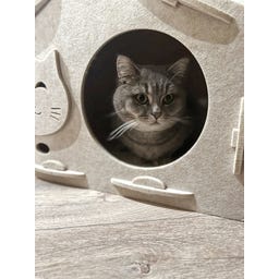 Aumüller Katzenhaus Feli, Wollfilz - beige