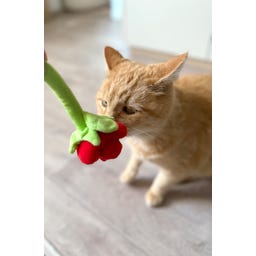 Aumüller Samtpfoten Rose Katzenspielzeug - 1 Stk