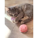 Aumüller Katzenspielzeug Macarons 3er - 1 Set