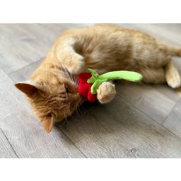 Aumüller Samtpfoten Rose Katzenspielzeug - 1 Stk