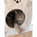 Aumüller Katzenturm Purr Tower hellgrau - 1 Stk