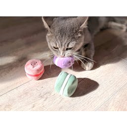 Aumüller Katzenspielzeug Macarons 3er - 1 Set