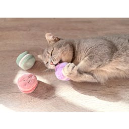 Aumüller Katzenspielzeug Macarons 3er - 1 Set