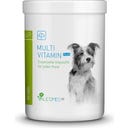 Multi Vitamin Plus - 1 kg