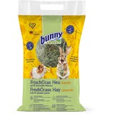 bunny Foin Frais