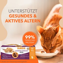 Nassfutter Land- & Meereskollektion in Sauce für Katzen ab 1 Jahr - 48x85g