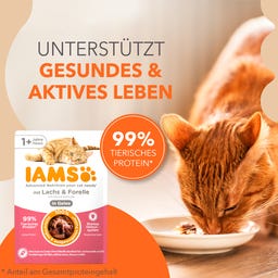 Nassfutter für Katzen ab 1 Jahr mit Lachs und Forelle in Gelee - 85 g
