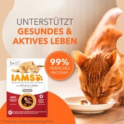 Nassfutter für Katzen ab 1 Jahr mit Rind und Leber in Sauce - 85 g