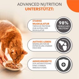 Nassfutter für Kätzchen mit Huhn in Sauce - 85 g