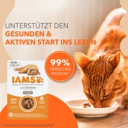 Nassfutter für Kätzchen mit Huhn in Sauce - 85 g