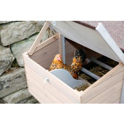 Hühnerstall Bonny mit Metallrahmen am Boden - 1 Stk