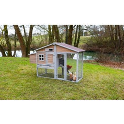 Hühnerstall Bonny mit Metallrahmen am Boden - 1 Stk