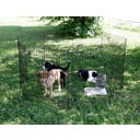 Welpen- und Kleintiergehege 8 Gitter mit Türe - 1 Stk