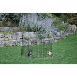 Welpen- und Kleintiergehege 8 Gitter mit Türe - 1 Stk