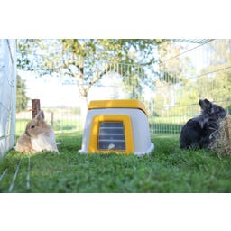 Kaninchenheim inkl. Zubehör Bunny Base ohne Erdteil - 1 Stk