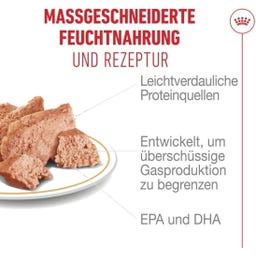 Royal Canin BHN French Bulldog Loaf 12 x 85 g - 1.020 g