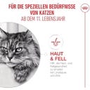 Royal Canin FHN Ageing 11+ Airlift Loaf 12 x 85 g - 1.020 g