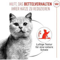FCN Appetite Control Airlift Loaf 12 x 85 g - 1.020 g