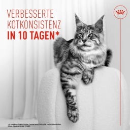 FCN Digestive Care Airlift Loaf 12 x 85 g - 1.020 g