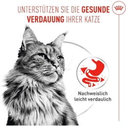 FCN Digestive Care Airlift Loaf 12 x 85 g - 1.020 g