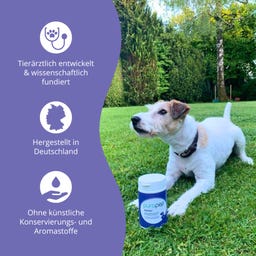 Purapep Senior - 280 g