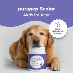 Purapep Senior - 280 g