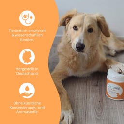 purapep Haut & Fell - 280 g