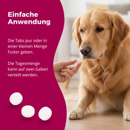 purapep Cardio Tabs Hunde - 300 g