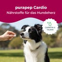 purapep Cardio Tabs Hunde - 300 g