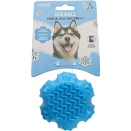 Coolpets Ledena žoga Ice Ball - 1 k.