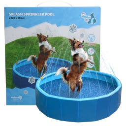 Coolpets Splash Sprinkler Pool - 1 k.