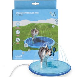 Coolpets Splash Sprinkler Pad - M
