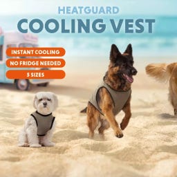 Coolpets Cooling Vest - L