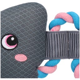 Coolpets Pull Me! Fishy Rope Flower - 1 Stk