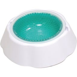 Fresh Bowl 470 ml - 1 item